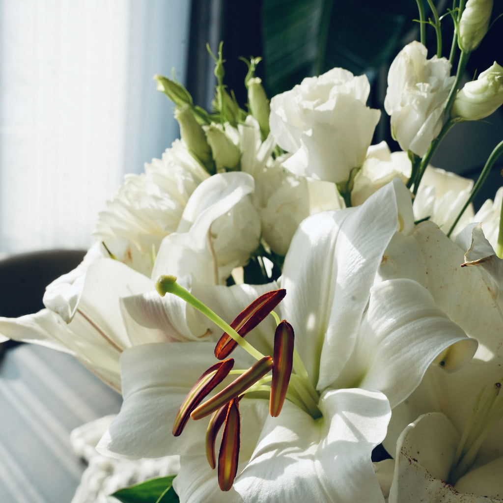White oriental lilies — The Bloom Drop