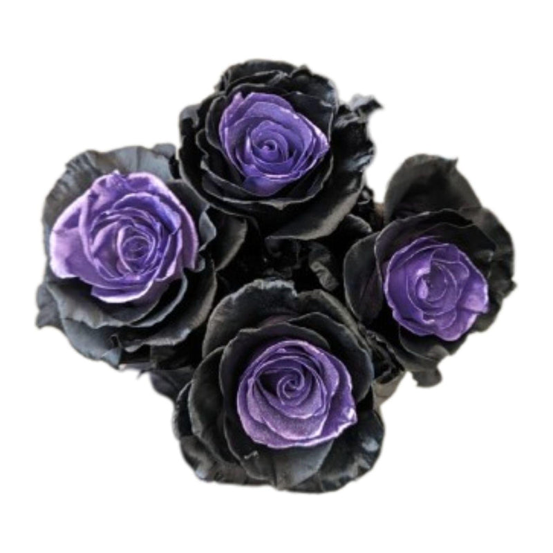 Witch Hat Halloween tinted roses, 25 stems