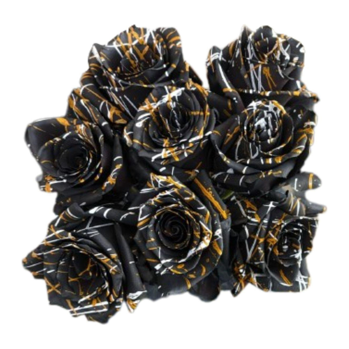 Wizard Halloween tinted roses, 25 stems