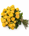 The Yellow Sunsets — hand-gathered bouquet on white, The Bloom Drop